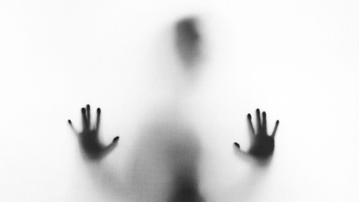 Foto de Stefano Pollio en Unsplash