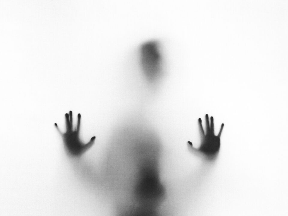 Foto de Stefano Pollio en Unsplash